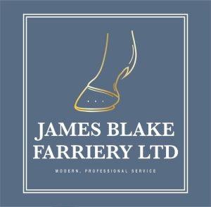 James Blake